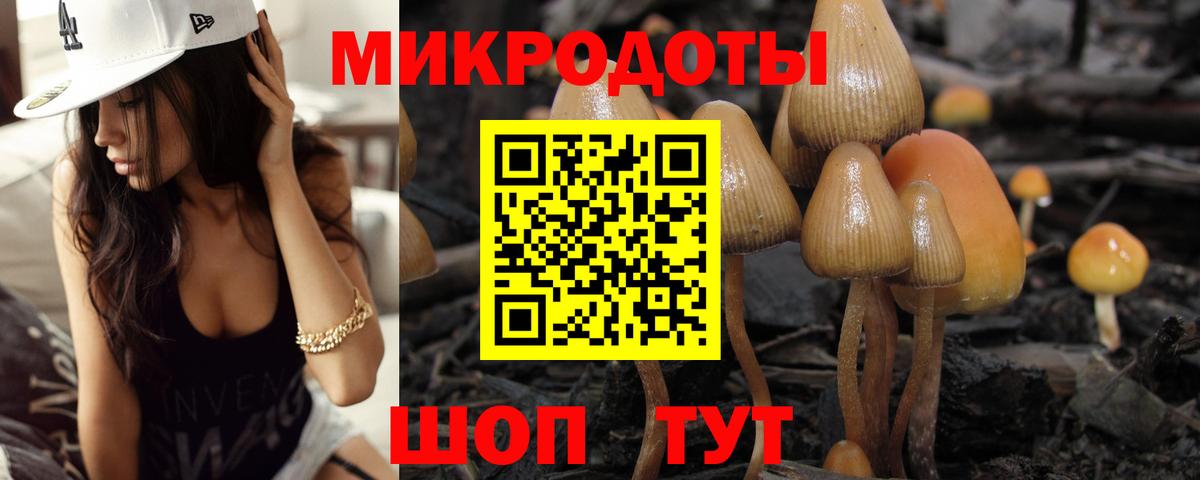 Кольчугино  Галлюциногенные грибы GOLDEN TEACHER  Вход с VPN 